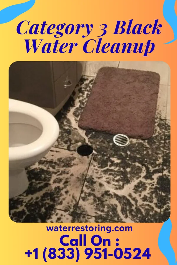 Category 3 Black Water Cleanup in Hubbard, TX